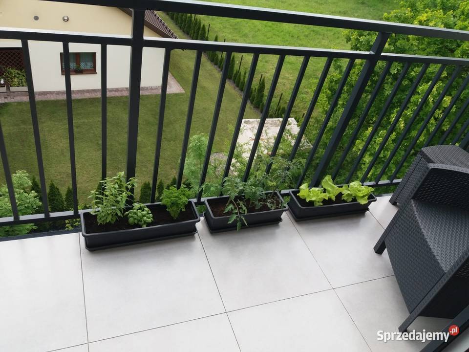 Wynajem mieszkania na osiedlu Tessin Park Cieszyn sprzedam