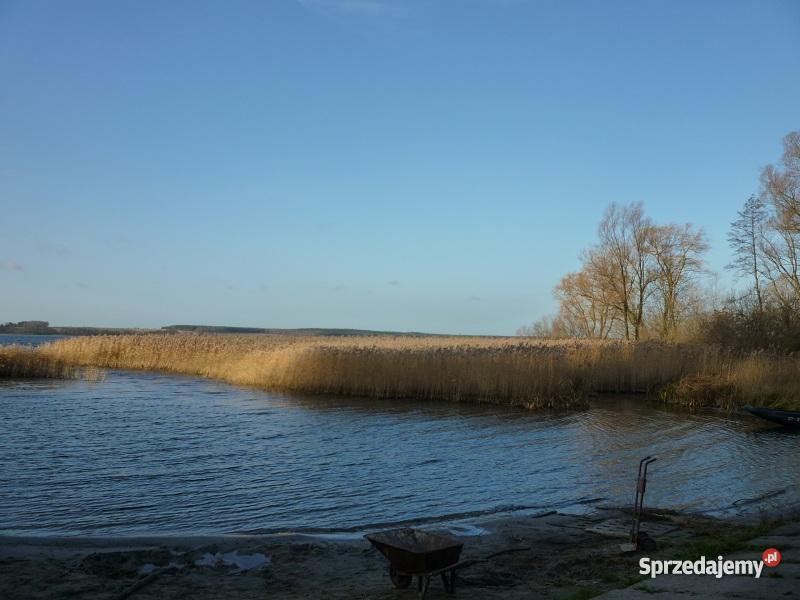 MIEDWIE DZIAŁKI BUDOWLANE Grunty i działki Wierzchląd