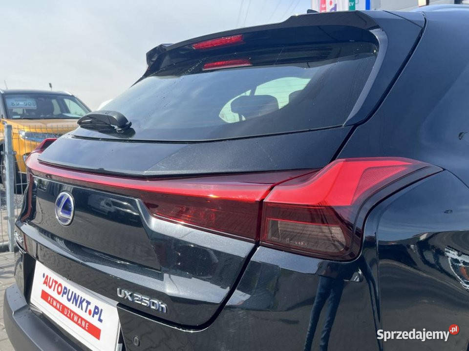Lexus UX 2019r FV23 Kamera Alcantara Poznań