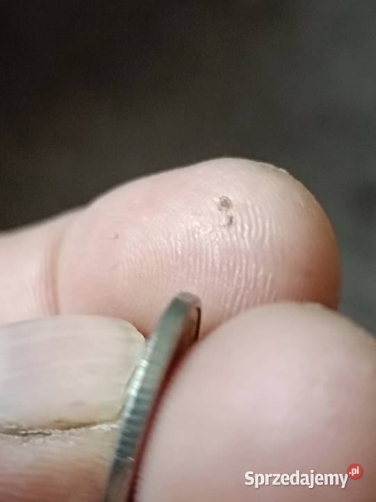 Sprzedam monete 10gr z 2002r lubelskie Chełm