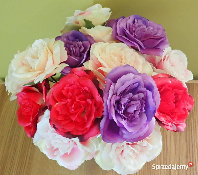 Róże rozwinięte chińskie okazałe 11 Kolory L049 śląskie