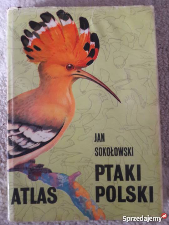3 Książki o ptakach ornitologia album, atlas Warszawa