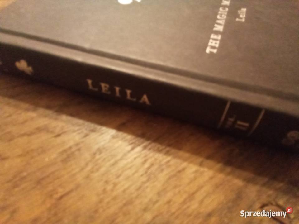 The magic misfits angielsku Warszawa