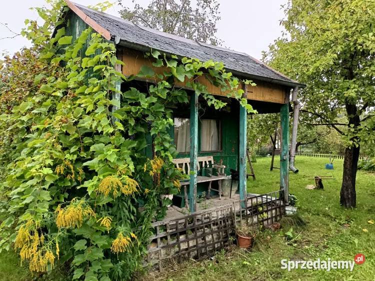 Działka ogrodowa SZAROTKA Ełk