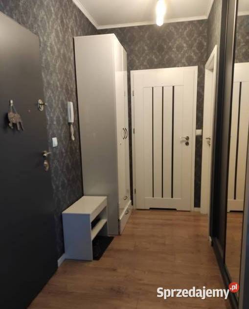 2pok 48met Obornickiej OGRÓDPIWNICAGARAŻ Wrocław 15000zł/m2 dolnośląskie