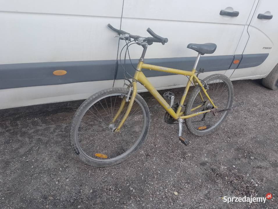 Rower Górski Trakingowy Miejski Pabianice