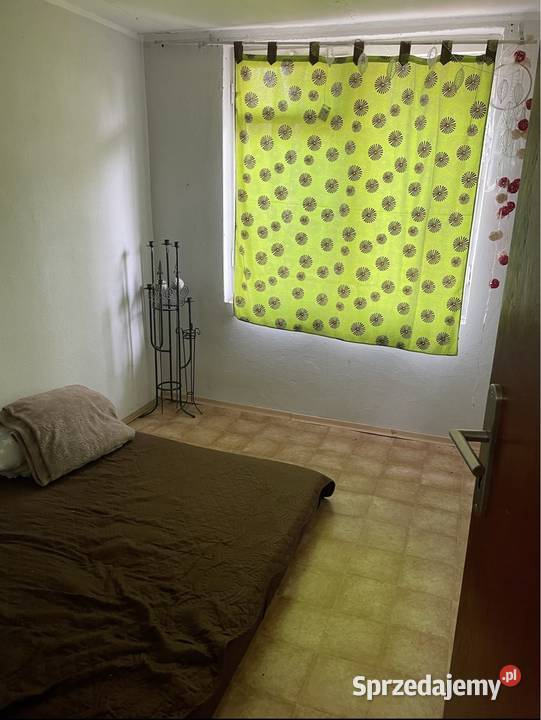 Działka ROD LAS Białołęka