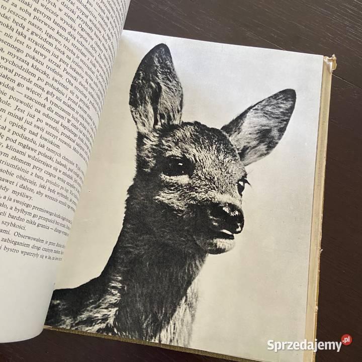 W krainie łowów Włodzimierz Puchalski Jan Marcin Błażejowice