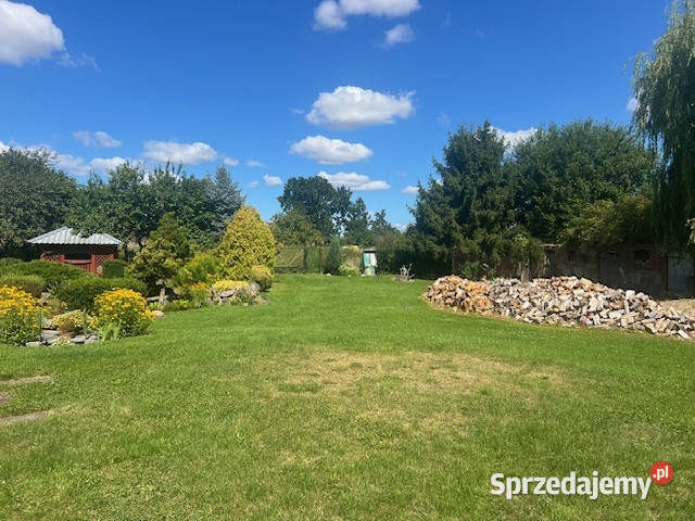 Syndyk sprzeda udział w wysokości 14 Kłodowo