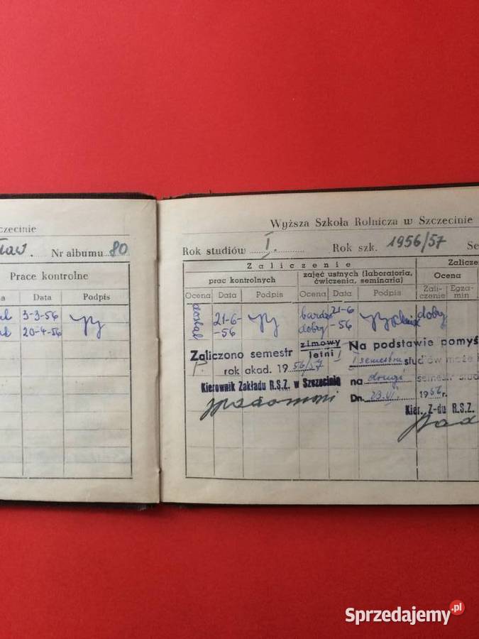 1589 Indeks Wyższej Szkoły Rolniczej Szczecin sprzedam