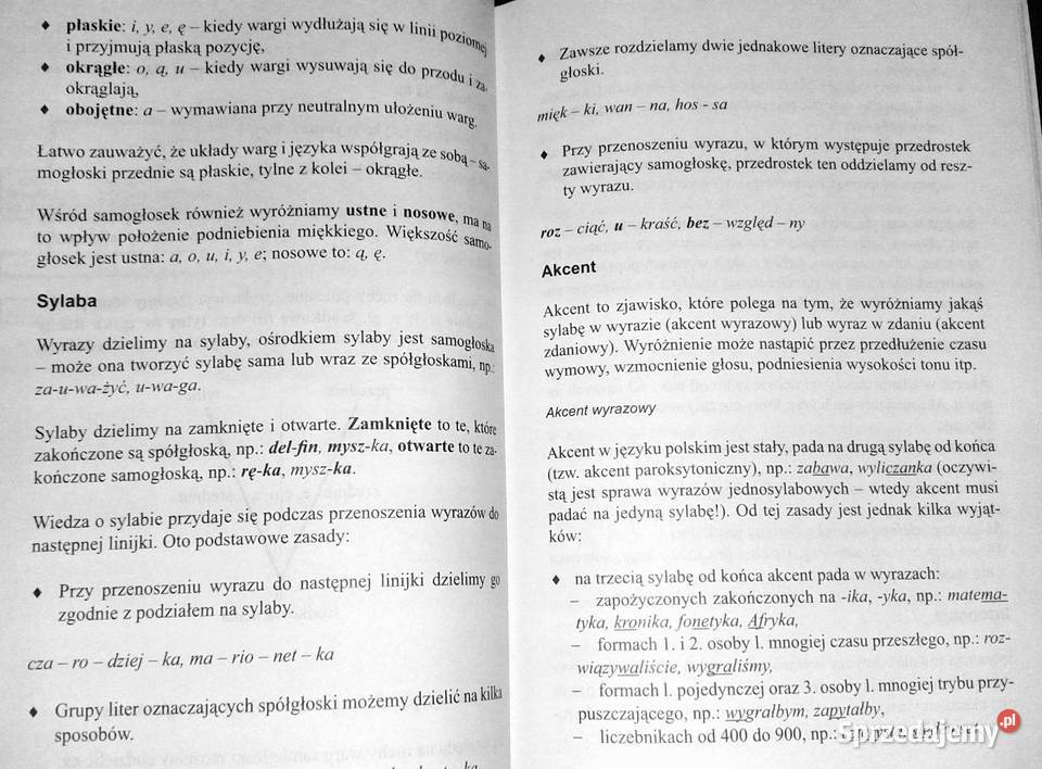 Gramatyka języka polskiego Justyna Rudomina Chełm
