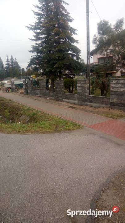 Układanie kostki Ogrodzenia Odwodnienia Izolacja Albigowa