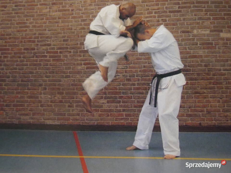 Oyama Budo Karate Bruin Kyokushin 10Kyu 4Dan sprzedam