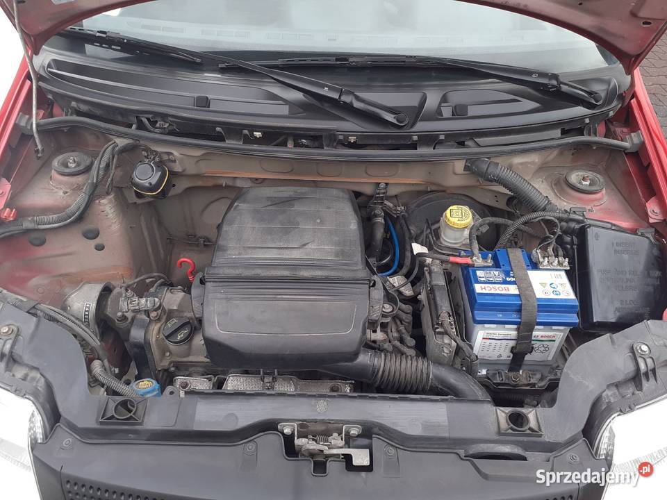 FIAT PANDA 11 201011r100 krajowyładny i Rok produkcji 2010 Wolbrom