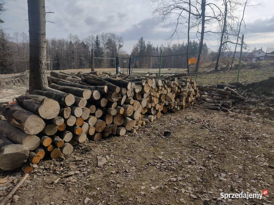 sprzedam drewno opałowe twarde Rzeszów
