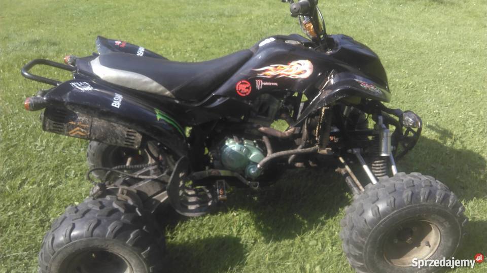 Bashan na dotarciu mazowieckie Gorzewo