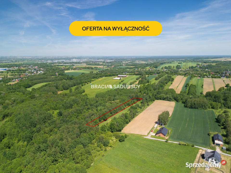 sprzedaży działki 4800 metrów Bodzanów 15m
