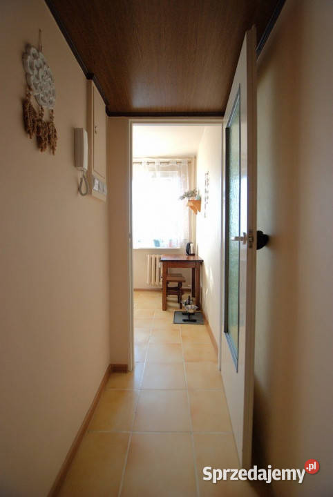 Mieszkanie 3916m2 2 pokojowe Kielce 39.16m2 Sprzedaż sprzedam