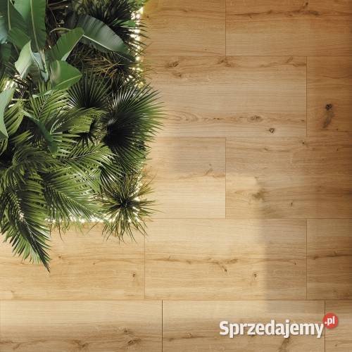 Drewnopodobne płytki na schody 100x30 ZŁOTY DĄB łódzkie