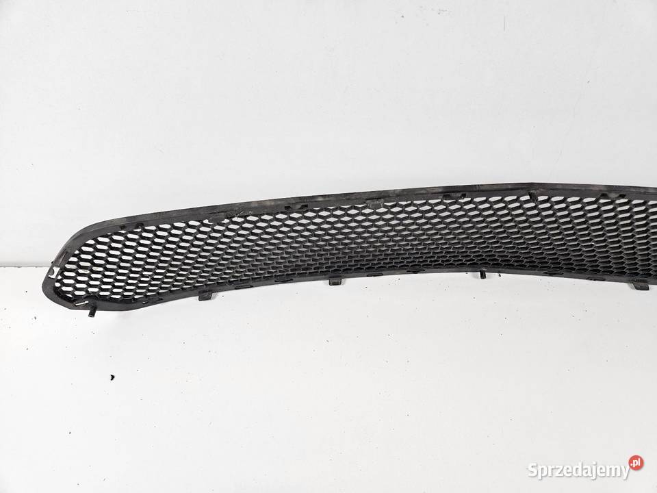 FORD MUSTANG GT500 GRILL ATRAPA ZDERZAKA PRZÓD Międzychód