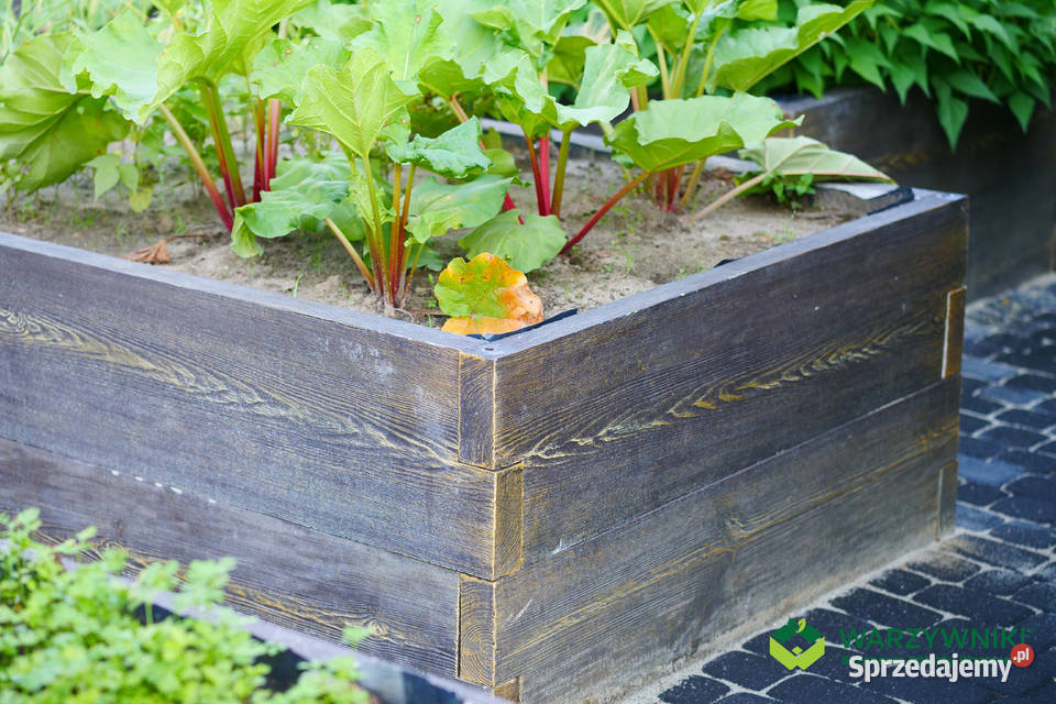 Warzywnik betonowy Ogród warzywny Paleta na Warszawa