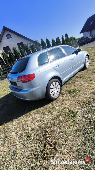 Audi A3 8P Sporback Oleśnica sprzedam