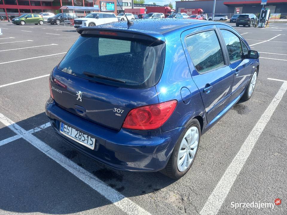 Peugeot 307 2007 Sieradz