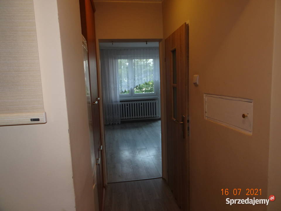 mieszkanie wynajem Świętochłowice