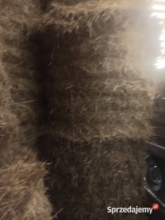 Słoma w balotach sucha z tegorocznych zbiorów Kolbuszowa