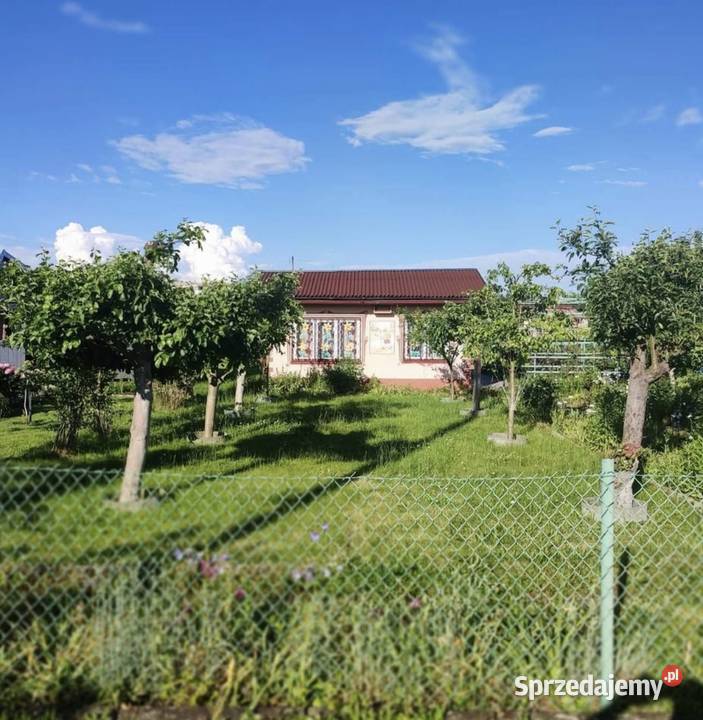 Sprzedam działkę ROD MICKIEWICZA Nieruchomości sprzedam