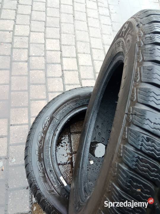 opony 1956515 r dębica frigo 2 bieżnik ok 65 mm