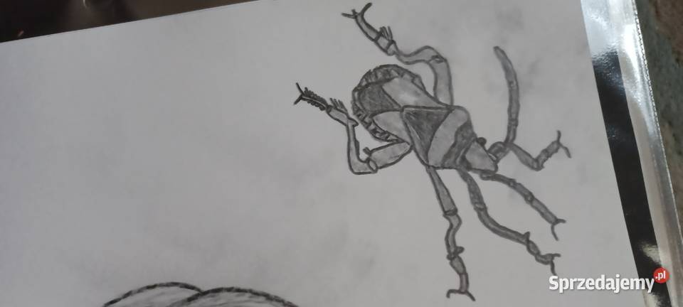 rysunek ołówkami surrealistyczny mroczny szary Poznań sprzedam