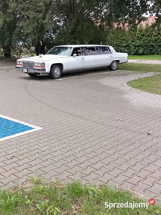 Limuzyna kujawsko-pomorskie Chełmża
