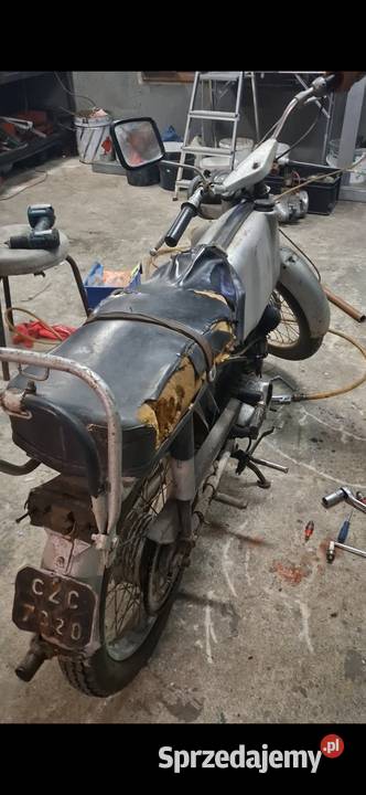 Jawka mustang Pawonków