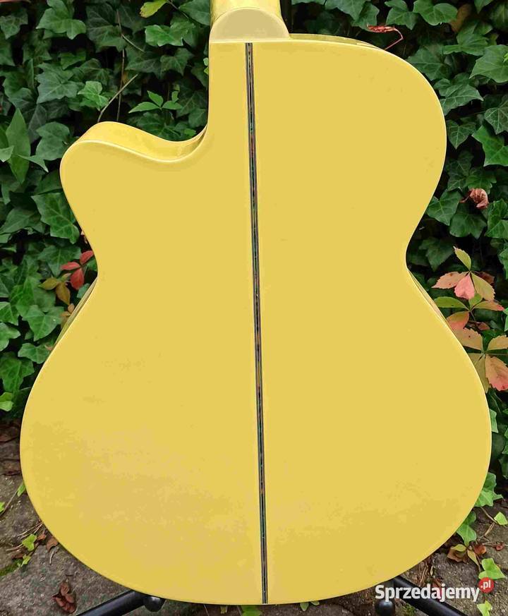 Gitara akustyczna Richwood RG15CYS łódzkie Tuszyn