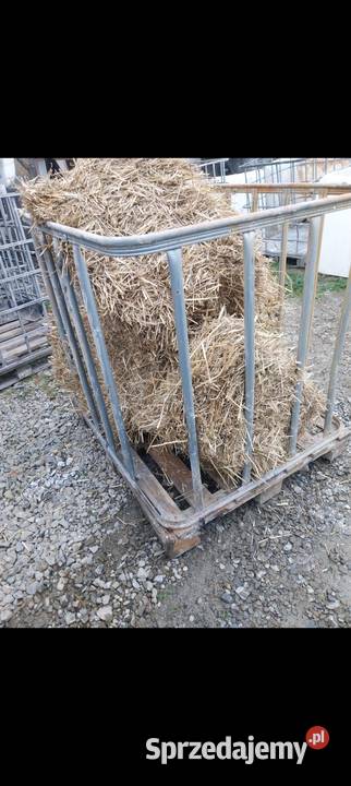 Paśnik zwierząt małopolskie Nowy Sącz