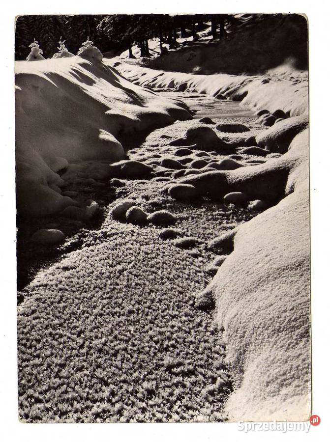 KARPACZ POTOK W ZIMIE POCZTÓWKA CZARNO BIAŁA świętokrzyskie sprzedam
