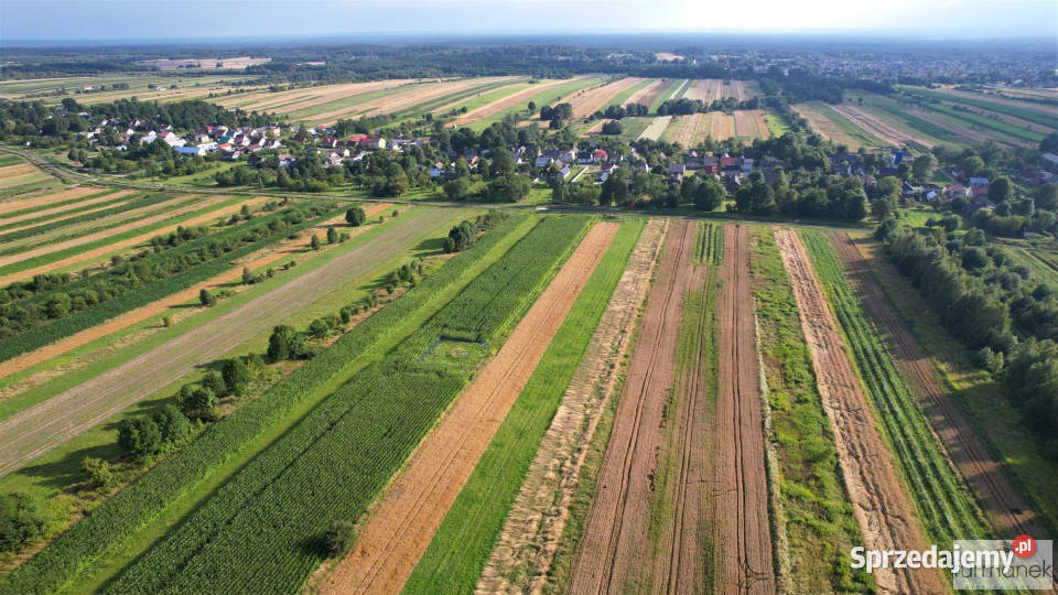 Grunt sprzedam Majdan Nepryski 30480m2 sprzedam