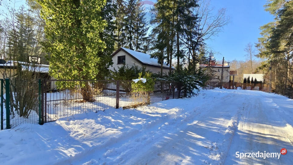 Działka zabudowana Zalesie Górne Kwiat Paproci sprzedam