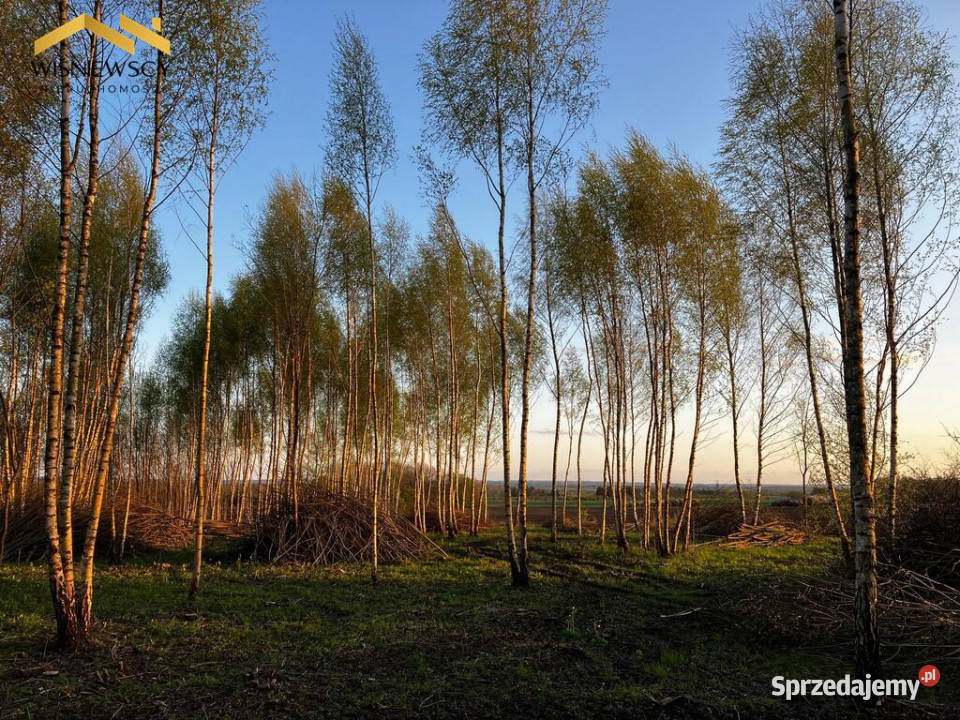Dawidy duża działka 05306 ha WZ