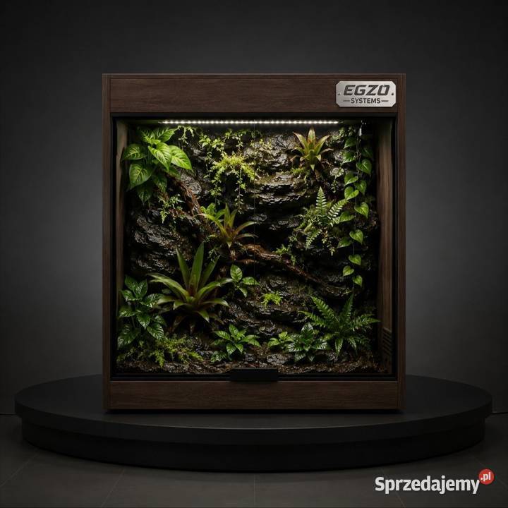 Terrarium gekona orzęsionego pytona regiusa boa Augustów