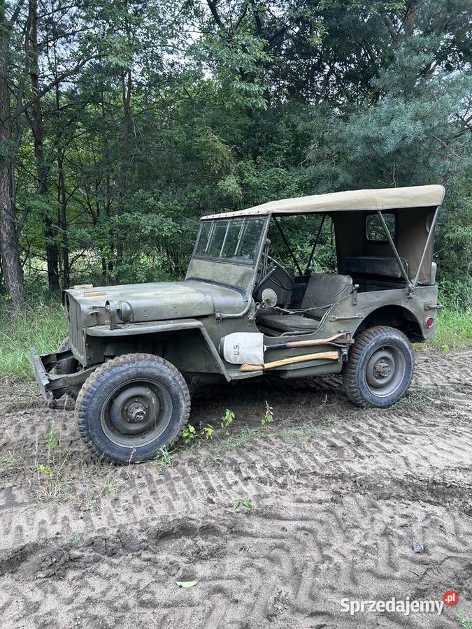 Jeep Willys MB mazowieckie Płock sprzedam