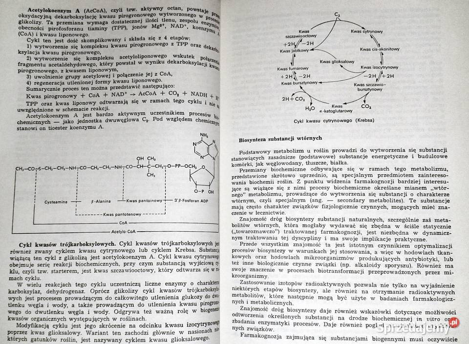 Farmakognozja Stanisław Kohlmunzer