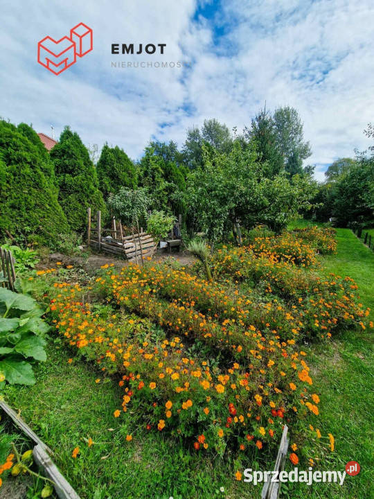 Mieszkanie Dobroń 35m2 1 pokój cegła