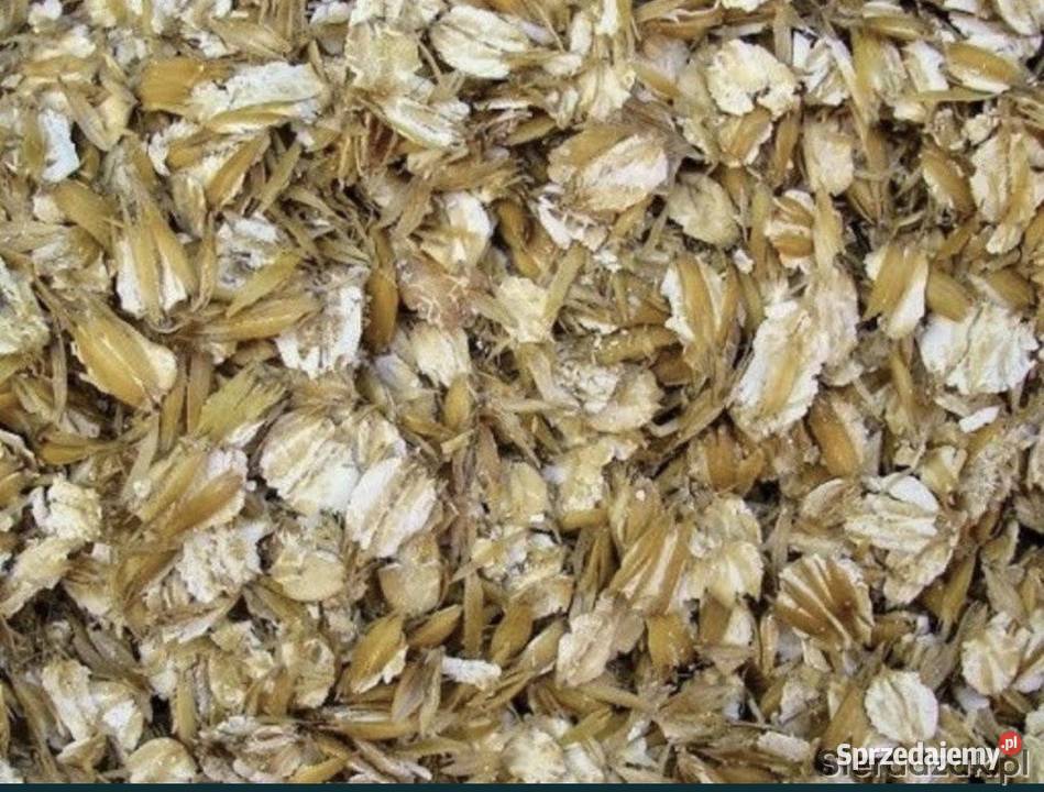 Owies gnieciony Kwietniki