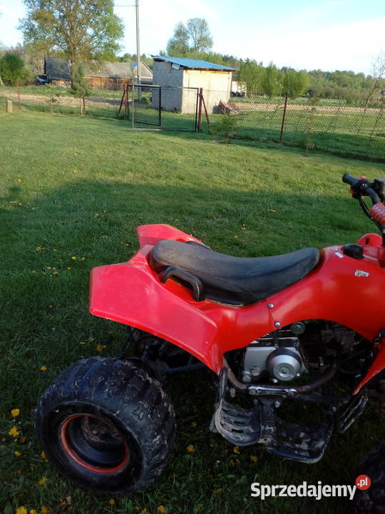quad 125 Nowy Dzików