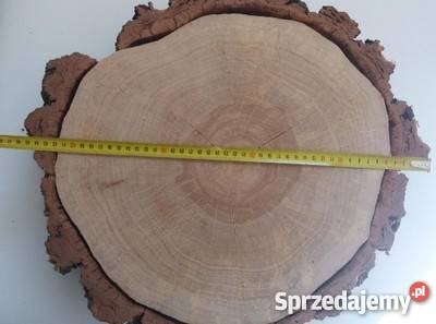 Duży Plastry drewna brzoza 45 gr11 na stolik Rybnik
