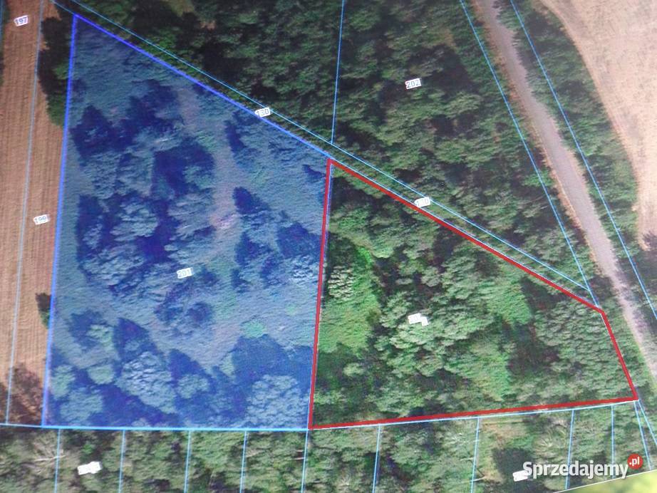 Działka do zabudowy dojazd asfalt 15 m Siedlce siedliskowa Nieruchomości Czołomyje sprzedam