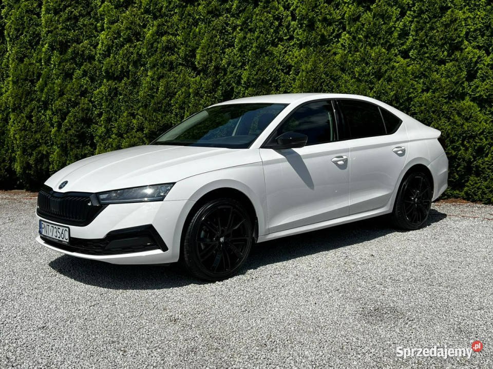 koda Octavia 20 TDI automat Sedan IV 2020 wielkopolskie Baranowo