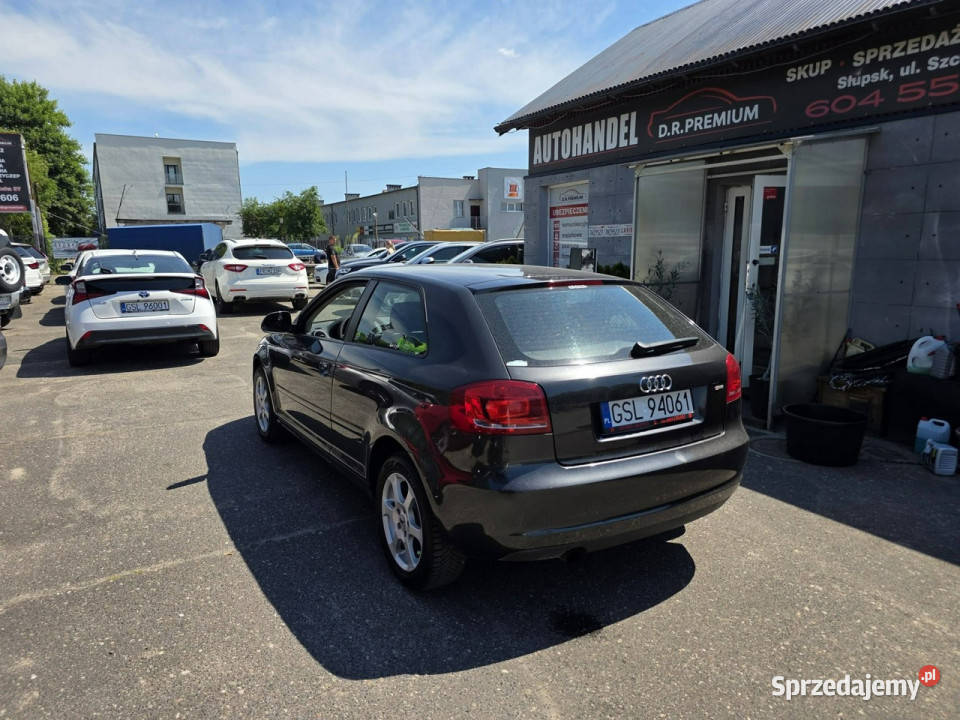 Audi A3 3drzwiowe 16 MPI 102 Daylight LED Xenon Słupsk